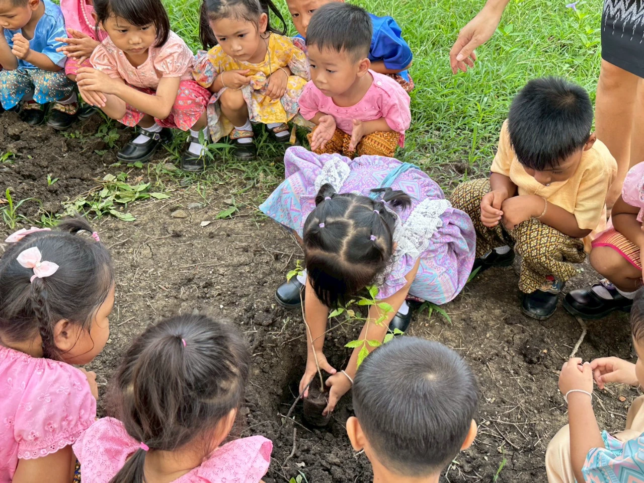 catalogs_file_1556_45_20_32691.webp